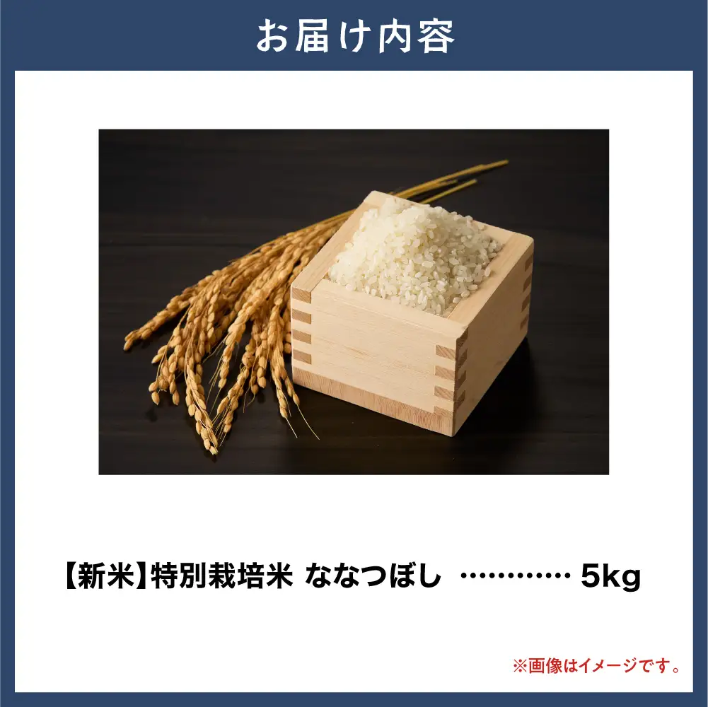 大塚農場 特別栽培米ななつぼし　5kg | 米 白米 北海道 当別町