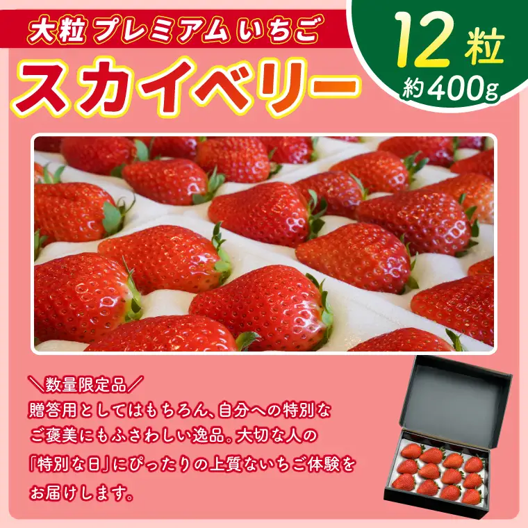 【数量限定】大粒プレミアムいちご スカイベリー 12粒 (約400g)  (DS004)