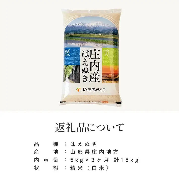 (2月～4月) ≪3ヶ月定期便≫ はえぬき 5kg×3ヶ月連続 計15kg 山形県庄内産 ご希望期間の毎月中旬頃お届け JA 農協 白米 ブランド米 お米 庄内米 東北 遊佐町 [1706T02]