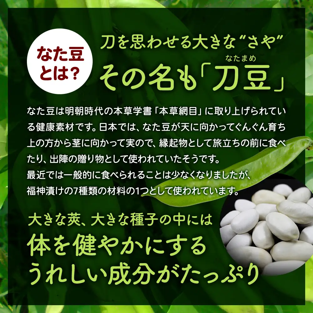令和8年熊本地震復興支援 国産なた豆茶 30包3袋セット