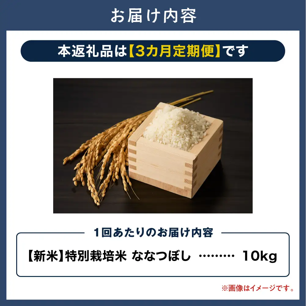 大塚農場 特別栽培米ななつぼし　10kg【3ヶ月定期便】 | お米 米 白米 定期便 北海道 当別町