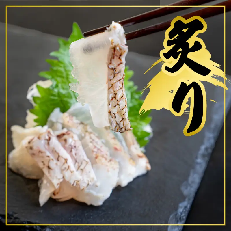 高知県 須崎市産 養殖真鯛  まるごと 1尾 セミドレス