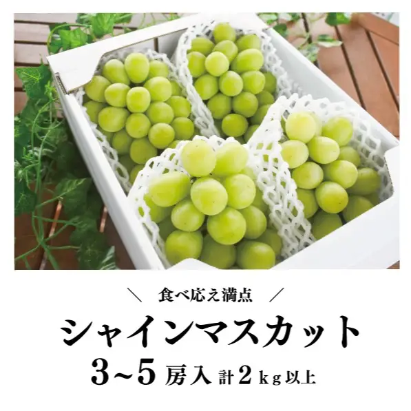 シャインマスカット 3-5房/計2kg～ (岡山県産) 果樹園こだわりの「きよとう」シャイン! FN-B004