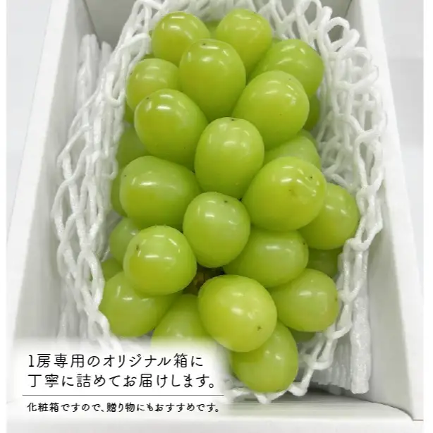 【数量限定】大粒シャインマスカット厳選品1房 /700g以上(岡山県産) FN-B002