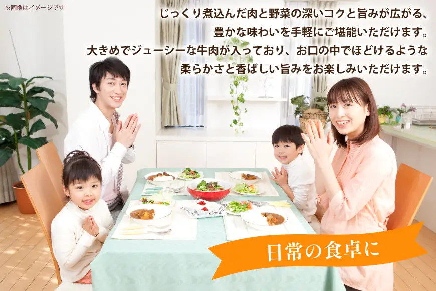 ハウス 選ばれし人気店 老舗のビーフシチュー 5食セット