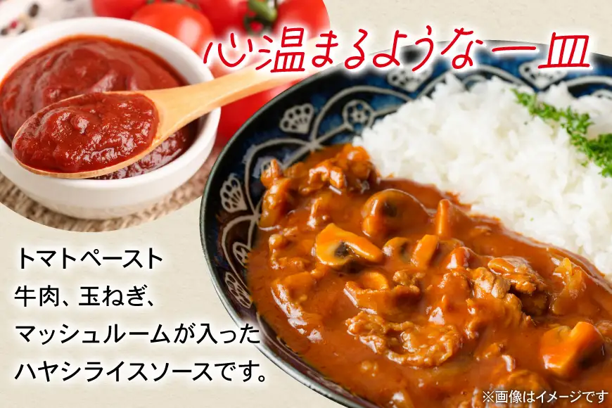 ハウス 完熟トマトのハヤシライスソース 20食セット
