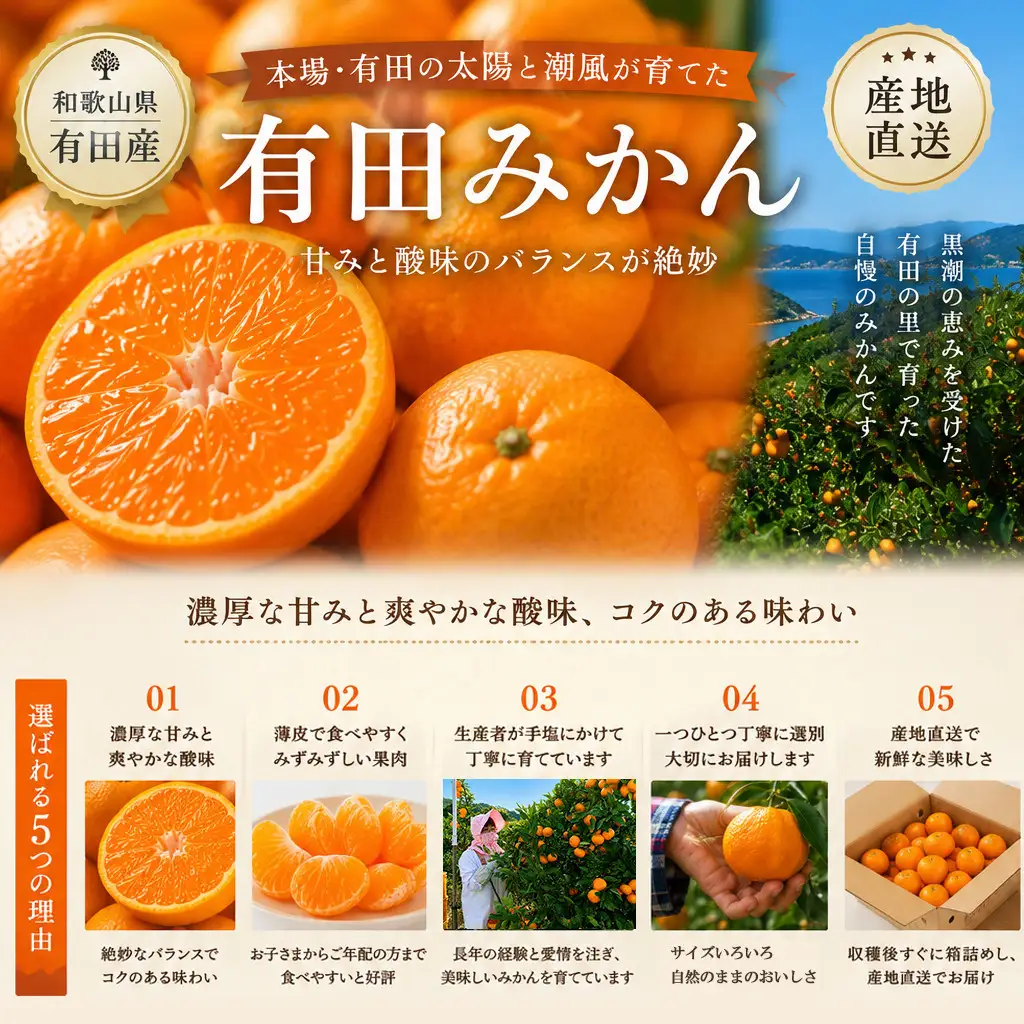 ［先行予約］和歌山県産 有田みかん 大玉 大粒 5kg 2L～3L