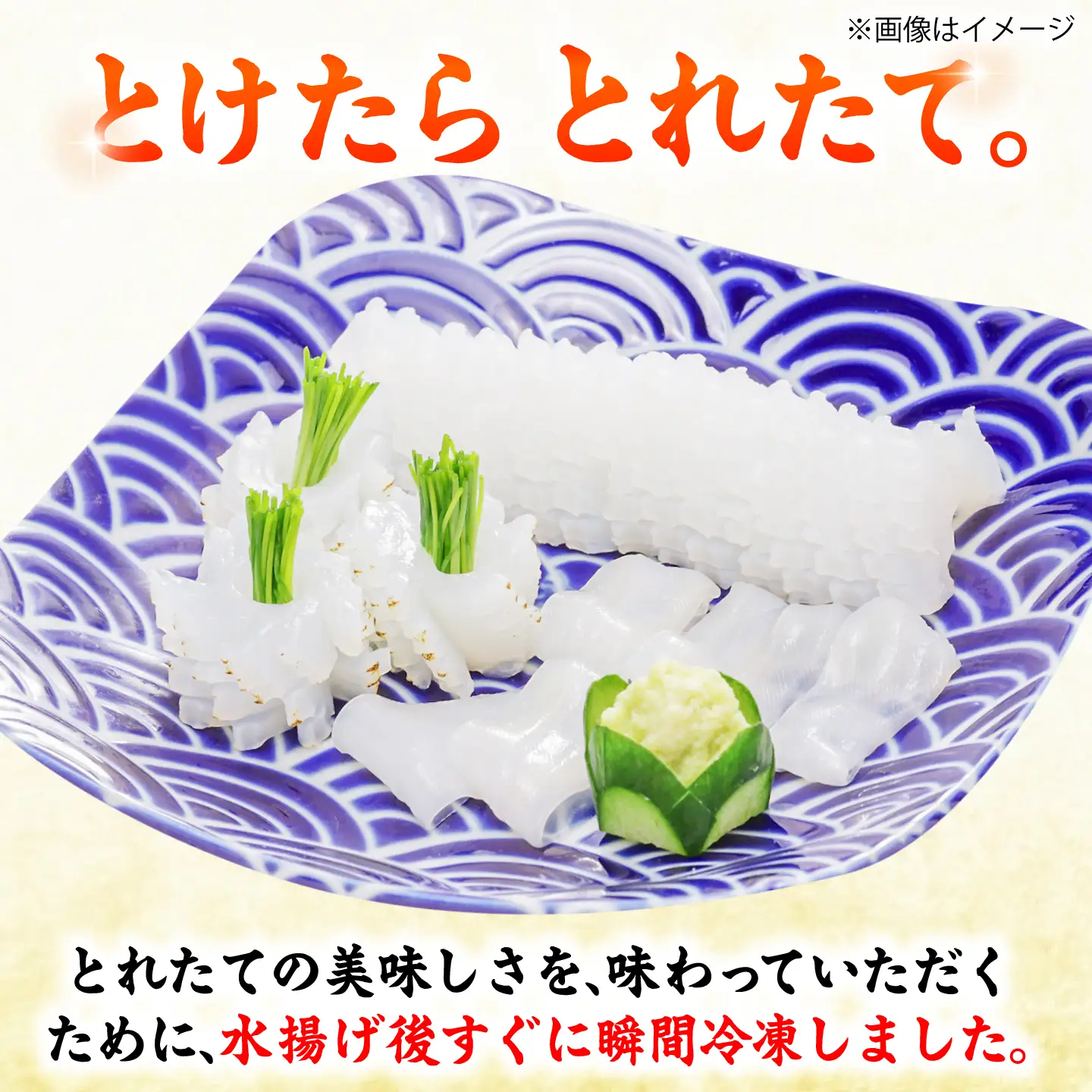 【とけたらとれたて】 アオリイカ （下処理・瞬間冷凍済み）1杯（500g以上）小分け 長崎県 小値賀町[DBY012]