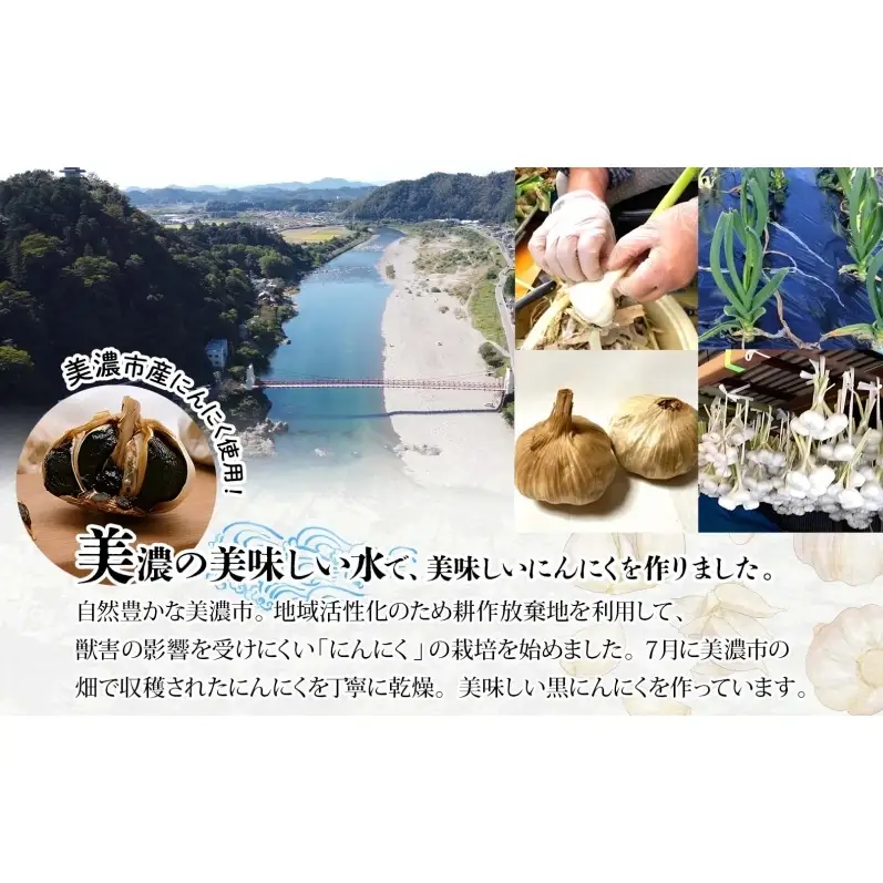 うだつの町 美濃の黒にんにく180g×2袋 黒にんにく 黒ニンニク にんにく ニンニク 加工食品 健康 熟成 甘い フルーティー まろやか うまみ 乾燥 凝縮 国産 送料無料 にわか茶屋 岐阜県 美濃市