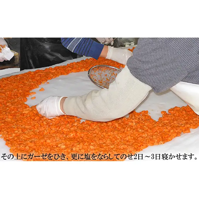 うに 礼文島産 礼文の純粒うに 板うに うに【50g×1個】