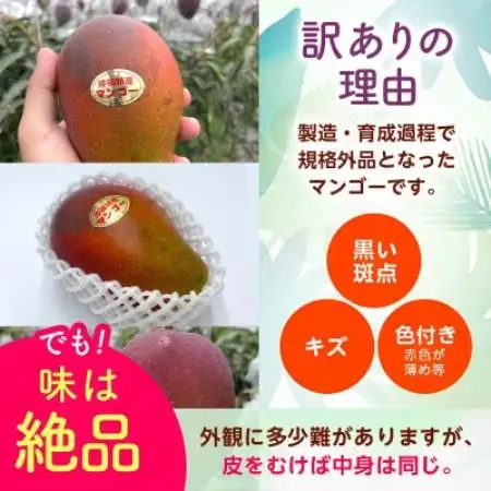 【2027年6月から順次発送・訳あり】アップルマンゴー2.0kg(4～6玉)【配送不可地域：離島】【1768530】