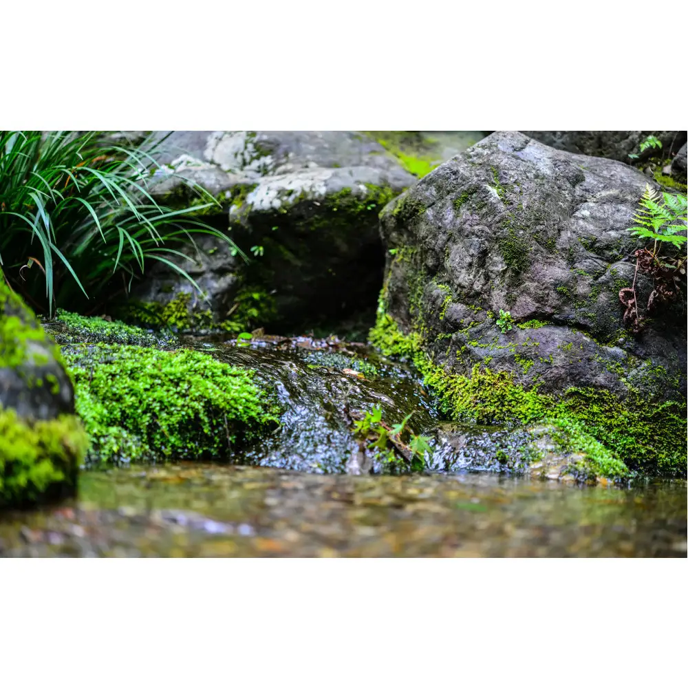 能登町産　特別栽培米　能登コシヒカリ（無洗米）　5kg
