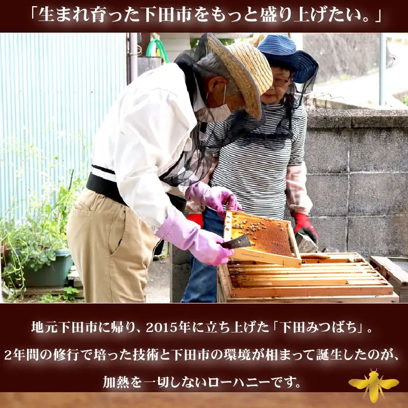 蜂蜜 ローハニー 生はちみつ 600g×2本 定期便 国産 百花蜜 下田 非加熱 はちみつ