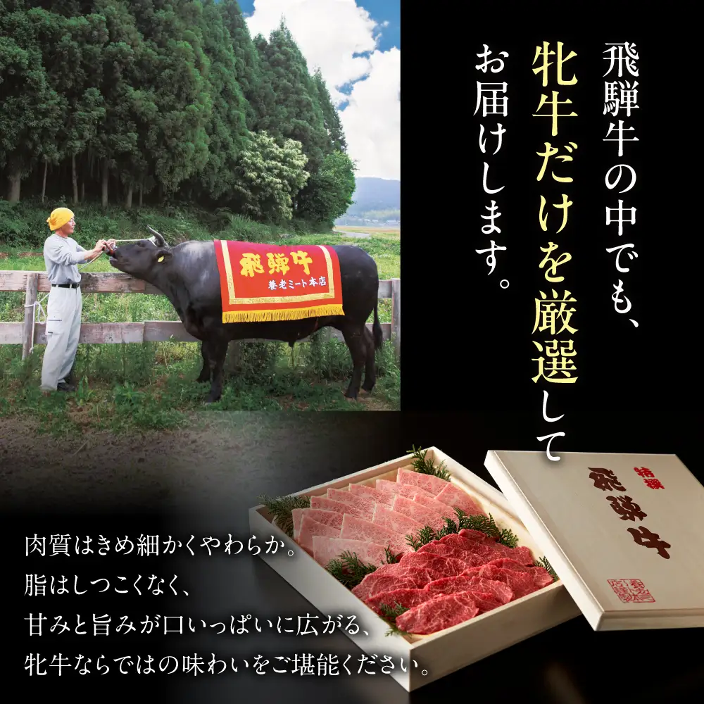 飛騨牛　A5 牝牛 赤身プレミアム 3か月定期便 ステーキ しゃぶしゃぶ すき焼き 3回　牛肉 モモ 焼肉 高級 黒毛和牛 和牛