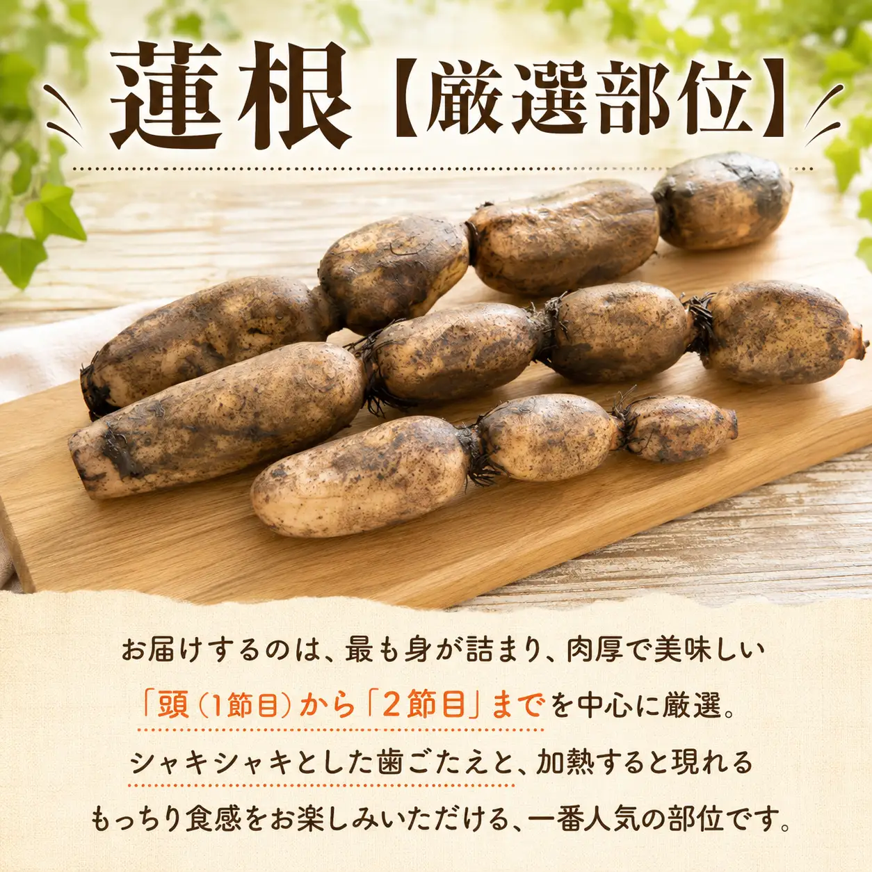蓮根 厳選 こだわり部位セット 2.5kg