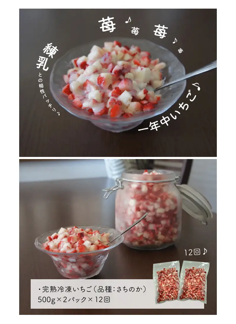 【先行受付】園村苺園　完熟冷凍いちご「ぷち苺」1kg（500g×2パック）【定期便 12回】_U74-T019_12