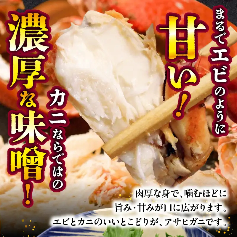 【先行予約】＜2026年11月より順次発送予定＞宮崎県串間市産 特大アサヒガニ1kg 国産 海鮮 カニ_K027-015-01