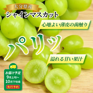 【先行予約】 おおいたの豊潤シャインマスカット約2㎏ 令和8年出荷分_1615R