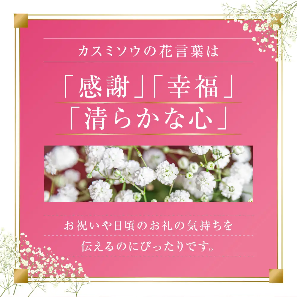 《指定日可》バラ30本とカスミソウのブーケ バラ