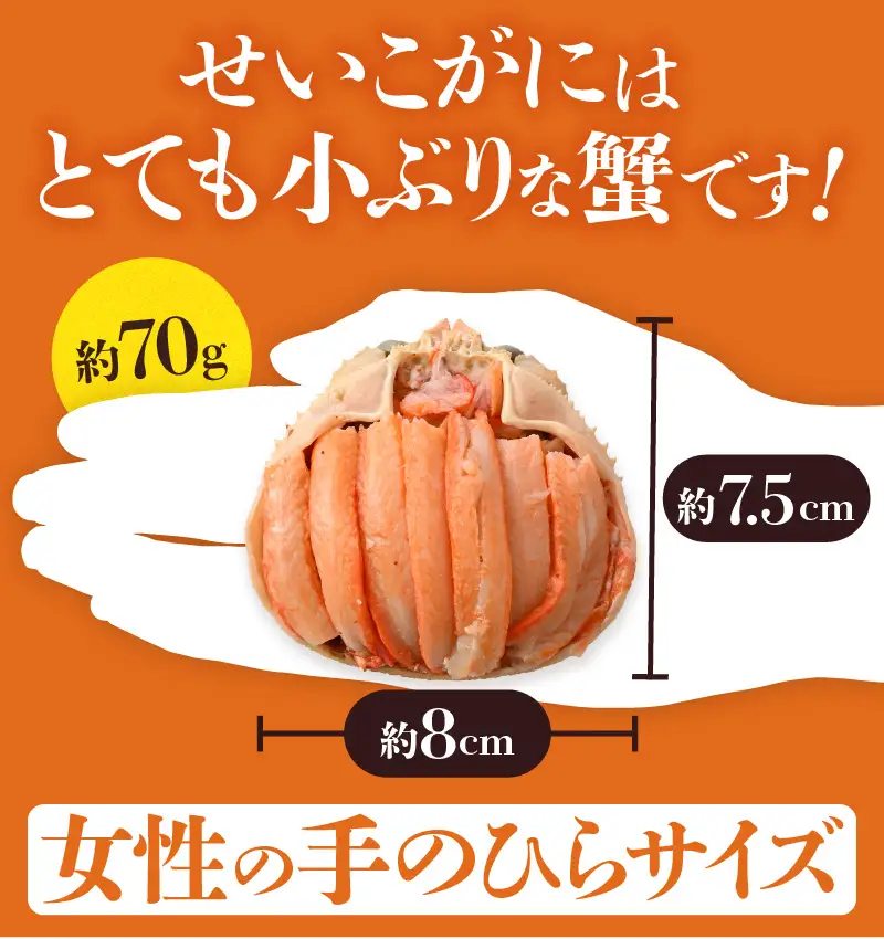 【先行予約】日本海産 せいこがに甲羅盛り 約70g×6杯 / 期間限定 冷凍 蟹 カニ 便利 身出し 小分け ビール おつまみ メス 福井 福井県 お取り寄せ むき身 ポーション 甲羅盛 脚 ※2026年11月上旬より準備出来次第発送予定 [aw050-b002]