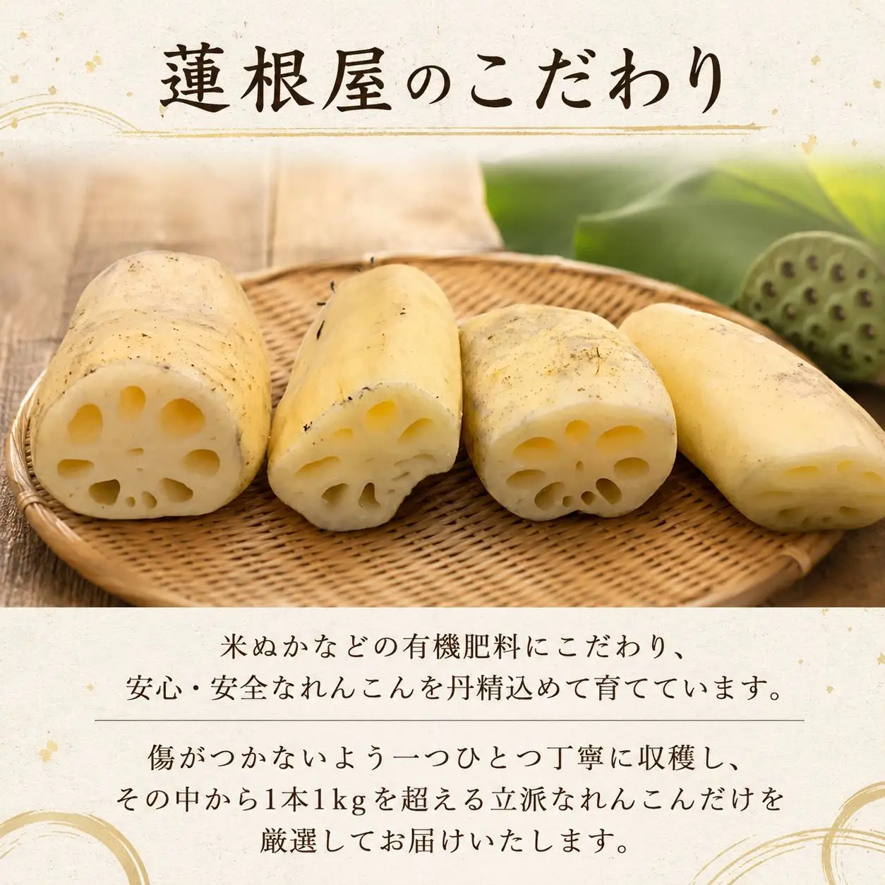 蓮根 丸1本