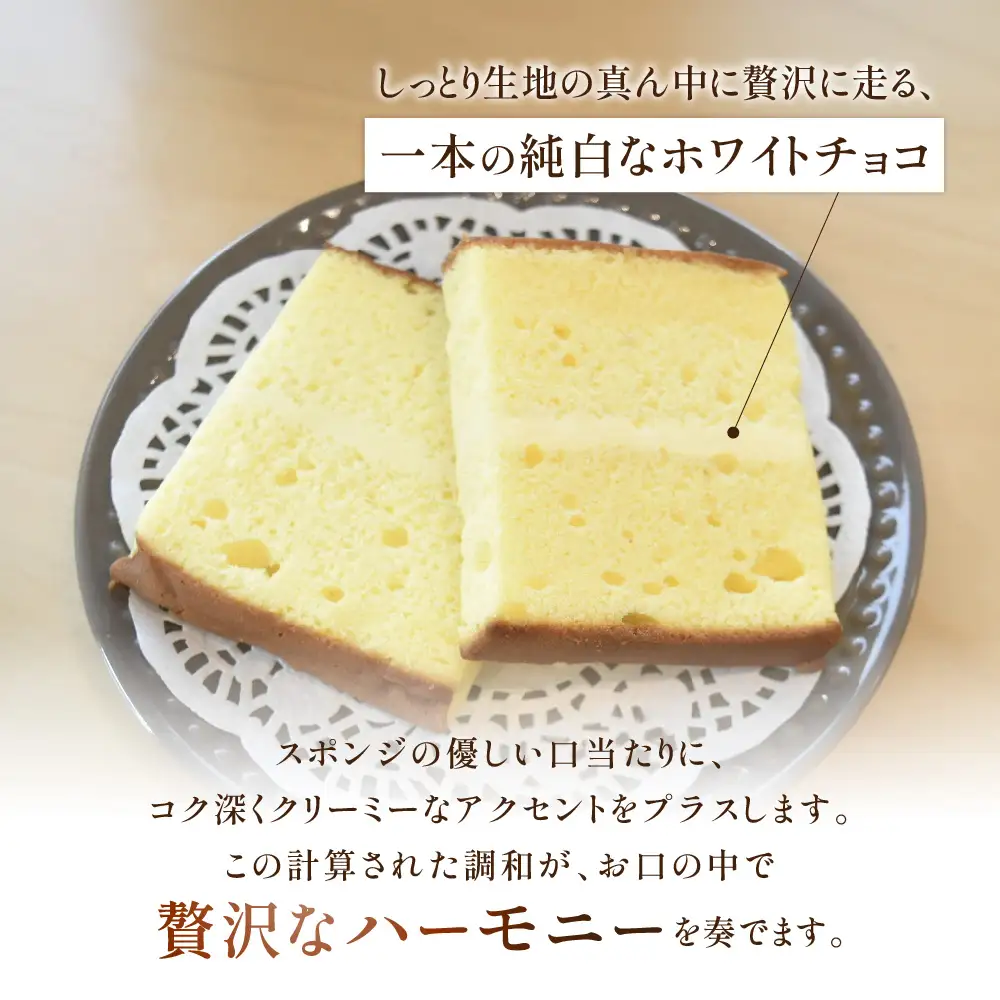 山口セレブ(10個入) 有限会社レ・ガトー 山口県 防府市 A-C30 洋菓子 スイーツ 焼菓子 ケーキ ギフト プレゼント ティータイム 個包装 おやつ 高級