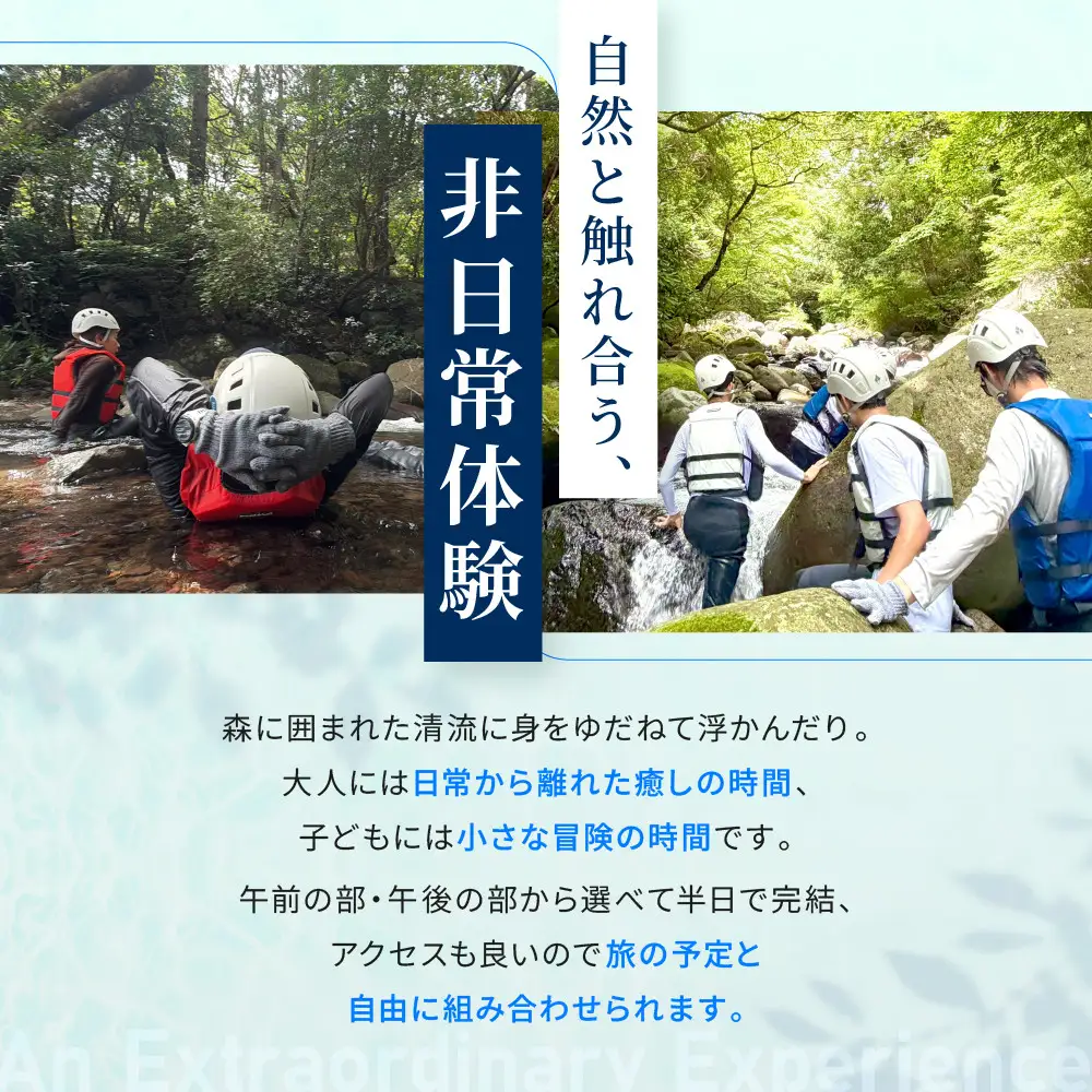 リバートレッキング「沢散歩」半日ツアー体験 | 湯河原町 初心者歓迎 自然体験 アウトドア 山歩き