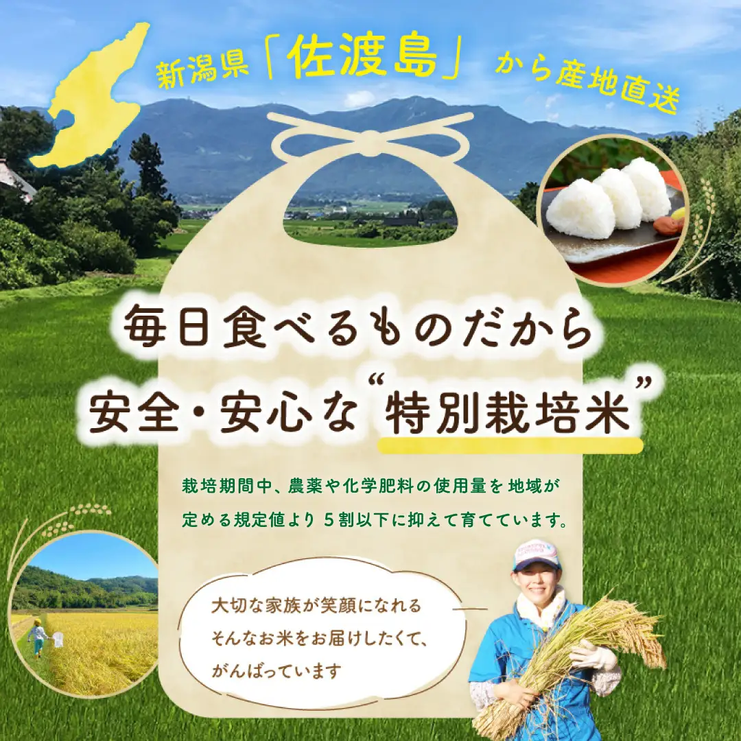 佐渡島産コシヒカリ 白米 2kg 令和8年産 特別栽培米 土屋農園 195962-031102
