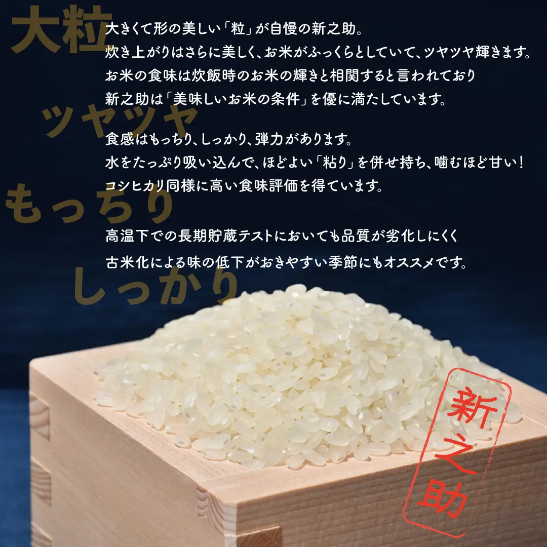 令和8年産 佐渡島産 新之助 玄米10kg