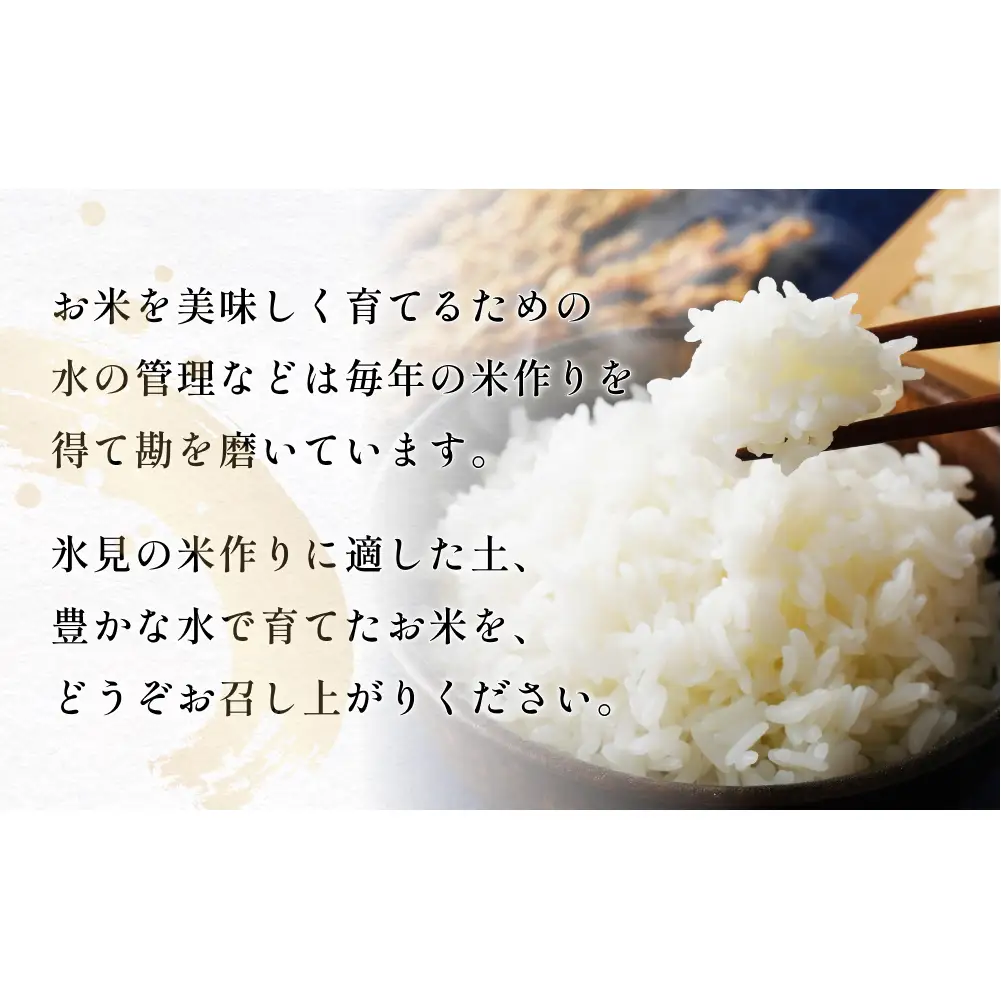 【6回定期便】富山県産 コシヒカリ 10kg 富山県 氷見市 米 コシヒカリ