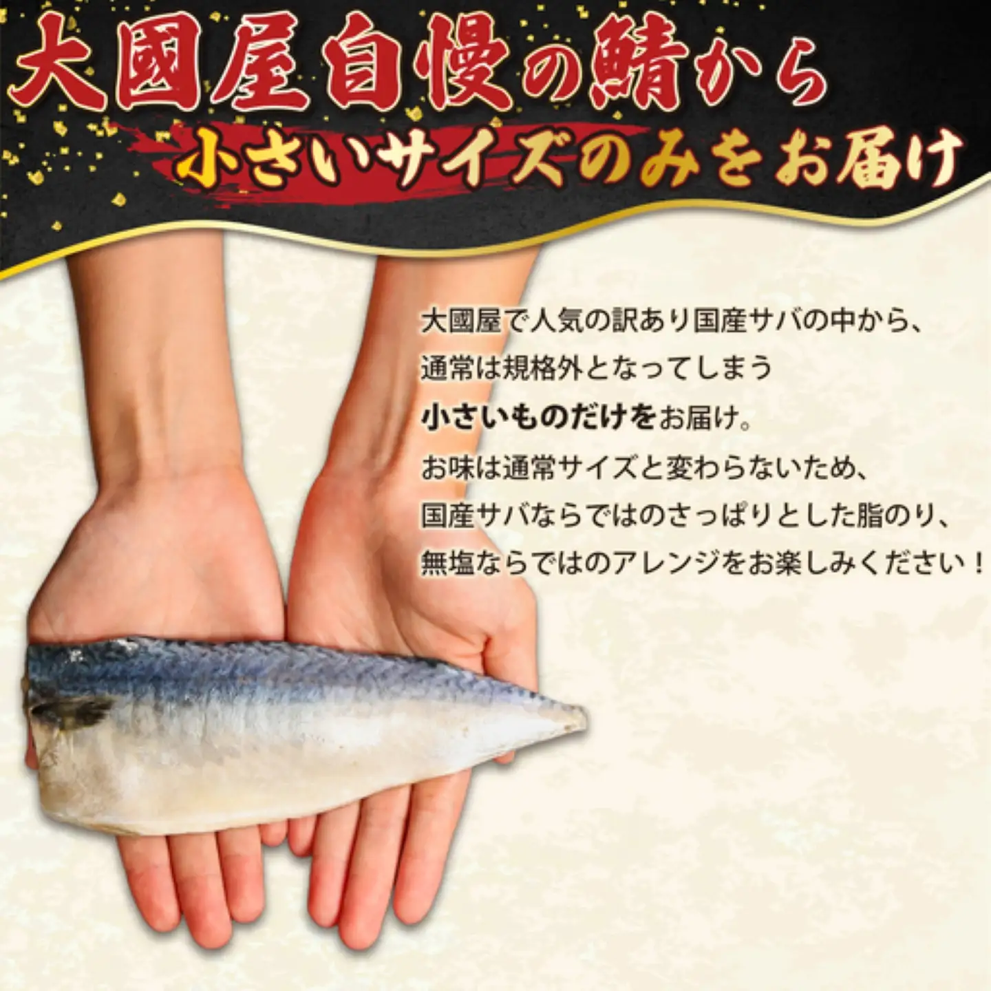 訳あり 国産 無塩さば 約2kg 小サイズ 【10月以降発送】 サバ