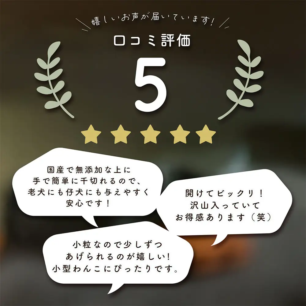 ＜ R8年熊本地震復興支援 ＞保存料・着色料・香料不使用 ペットおやつ詰め合わせ 【 超小型 ／ 小型犬用 】 ペット 愛犬 ワンちゃん 犬 シニア犬 動物 おやつ ごはん ご褒美 低カロリー 栄養豊富 デンタルケア 牛肺 豚肺 豚耳 セット 食べ比べ