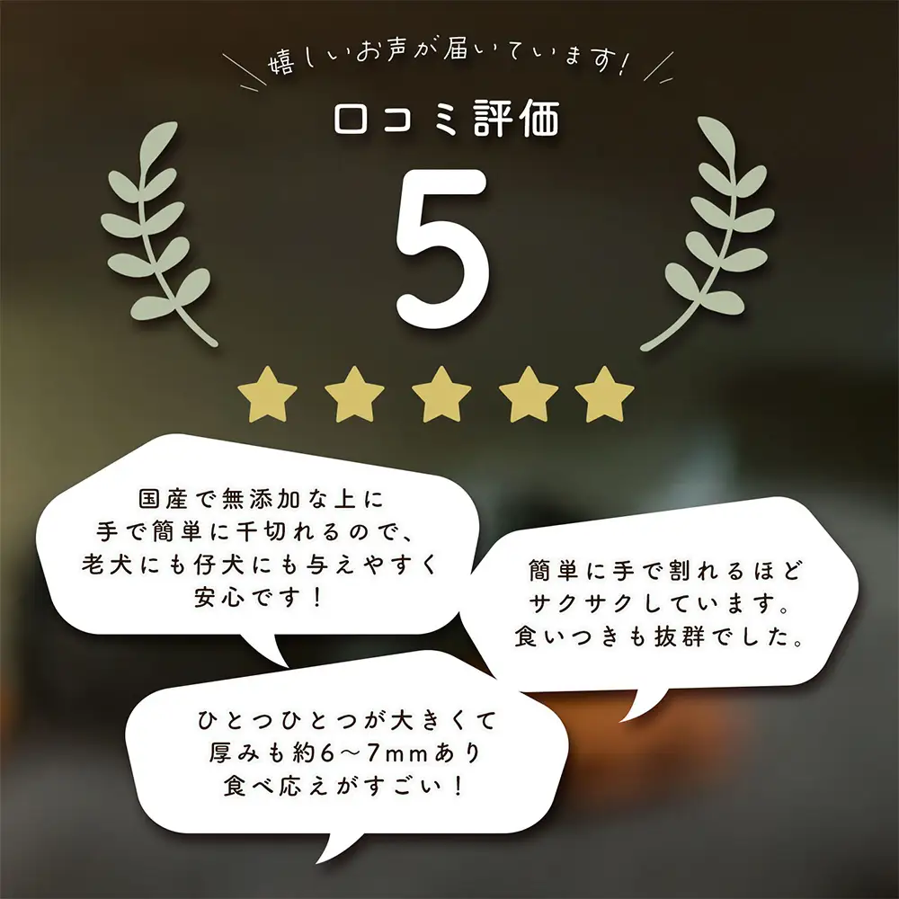 ＜ R8年熊本地震復興支援 ＞保存料・着色料・香料不使用 ペットおやつ詰め合わせ 【 中型 ／ 大型犬用 】 ペット 愛犬 ワンちゃん 犬 シニア犬 動物 おやつ ごはん ご褒美 低カロリー 栄養豊富 デンタルケア 牛肺 豚肺 豚耳 セット 食べ比べ
