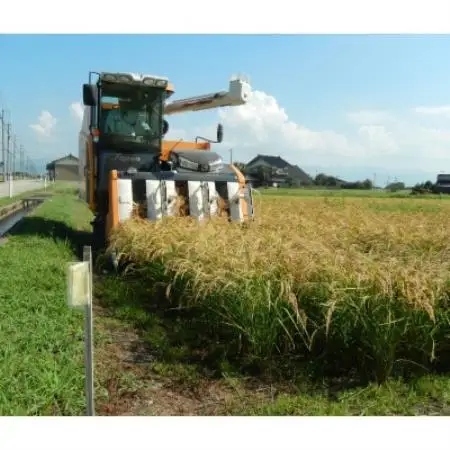 【新米】令和8年産 富山県小矢部市産 てんたかく 玄米30kg(30kg×1袋)【1772368】