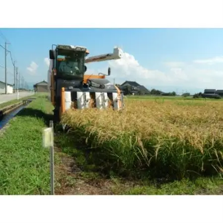 【新米】令和8年産 富山県小矢部市産 コシヒカリ 玄米30kg(30kg×1袋)【1772369】