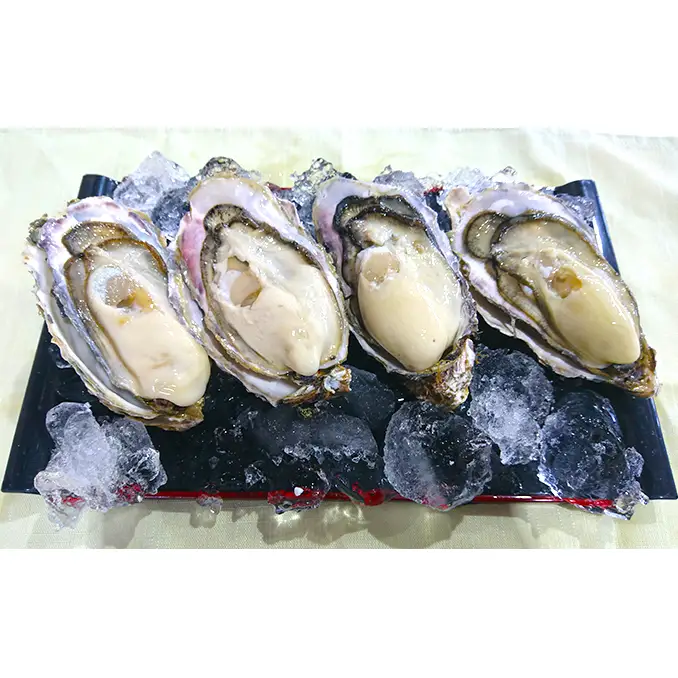 カキ 生食用 北海道 厚岸産 殻かき カキエモン LLサイズ  15個 牡蠣 魚貝類 生牡蠣 殻付き牡蠣 カキ ブランド