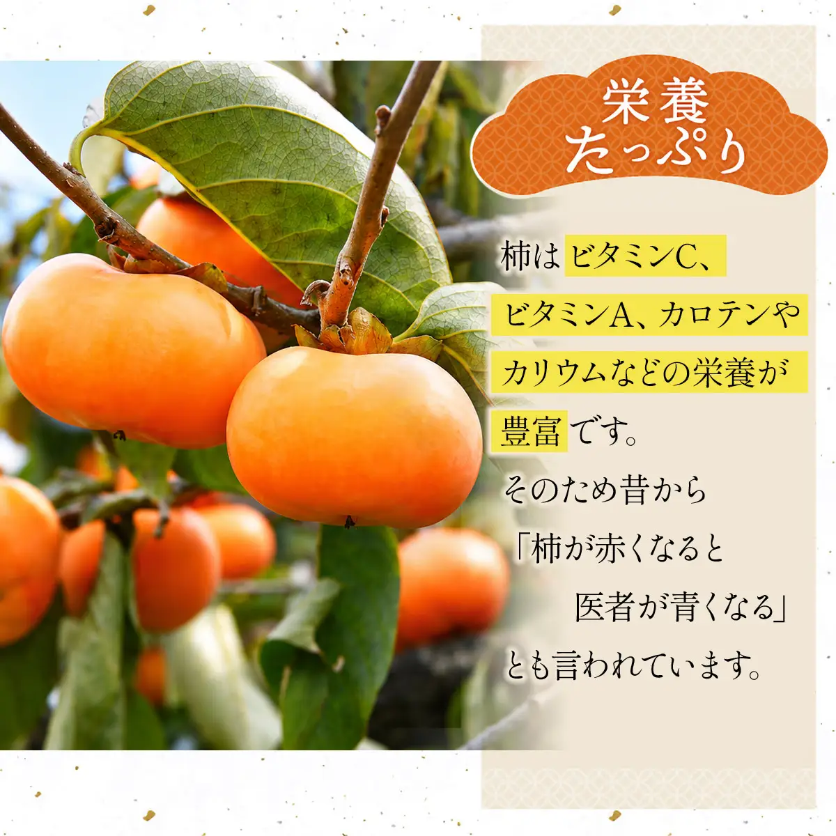 【令和8年産】松ヶ岡農場庄内柿 18個入（秀品3.3kg）脱渋済み 庄内観光物産館事業部