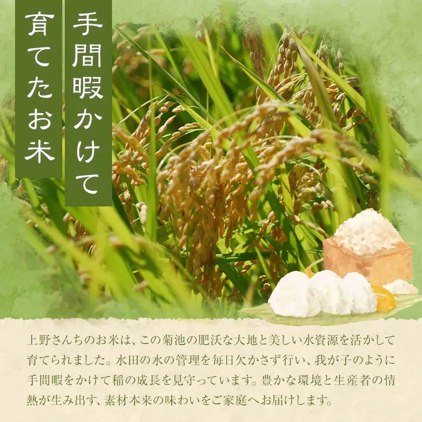上野さんちのお米 10kg THANTEAMS《11月上旬-1月下旬頃出荷》