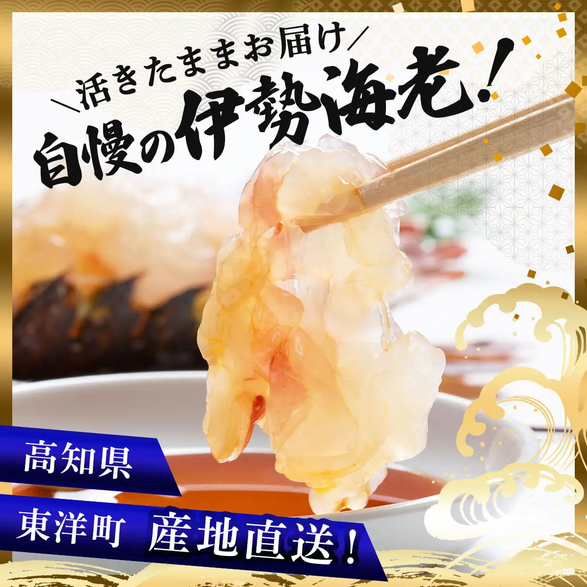 【先行予約】【期間限定】活き伊勢海老 1000gセット（2～5尾）生きた伊勢海老　初物　朝どれ　縁起物　エビ　