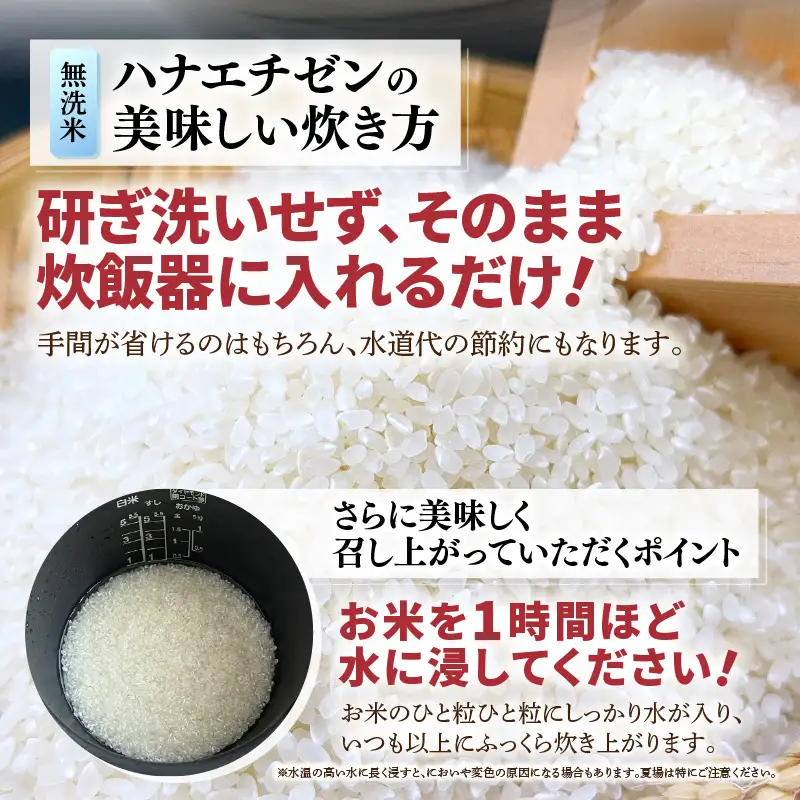 【先行予約】【令和8年産】定期便 ≪6ヶ月連続お届け≫ 華越前 無洗米 5kg×6回 （計30kg）/ 米 5キロ 30キロ ハナエチゼン はなえちぜん 北陸 福井県産 あわら市 ブランド米 白米 お米 コメ こめ むせんまい ※2026年10月上旬以降順次発送 [aw056-d001]