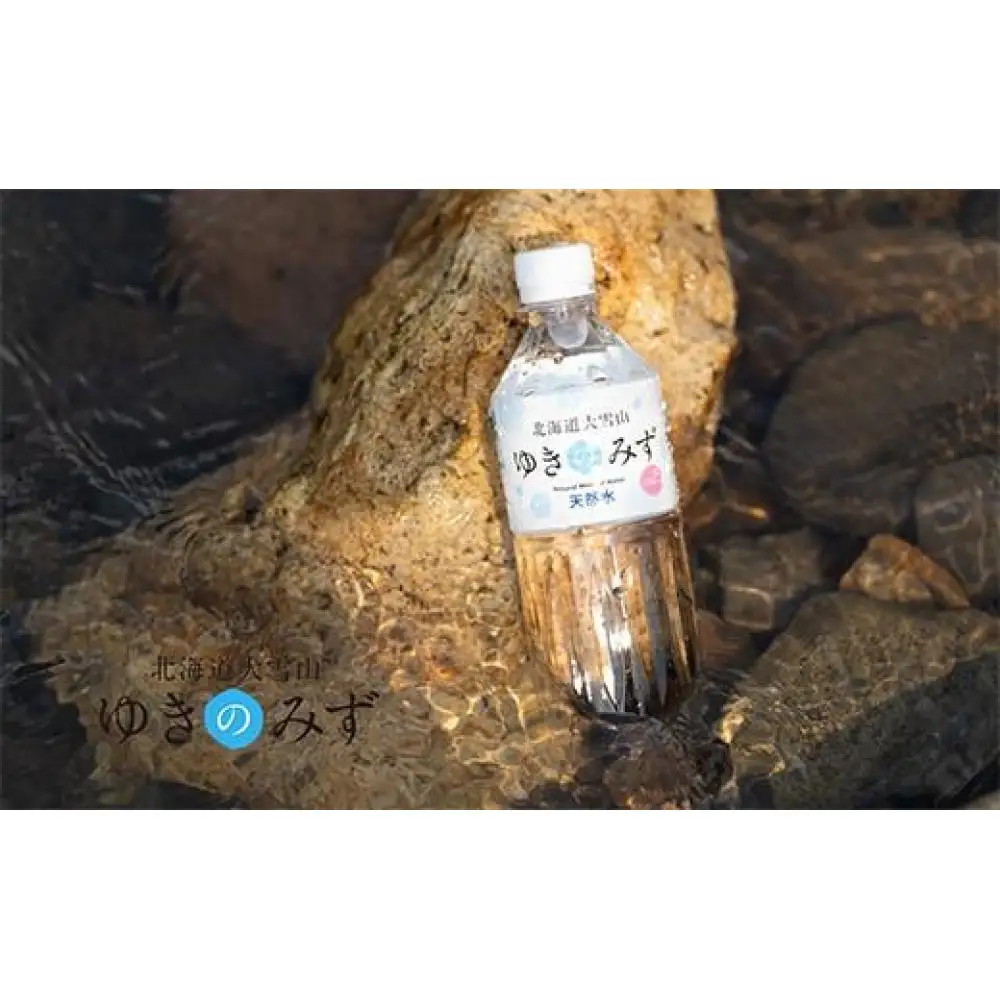 【全3回】【頒布会】北海道大雪山ゆきのみず（550ml×24本入り）1箱＜全3回コース＞|  みず