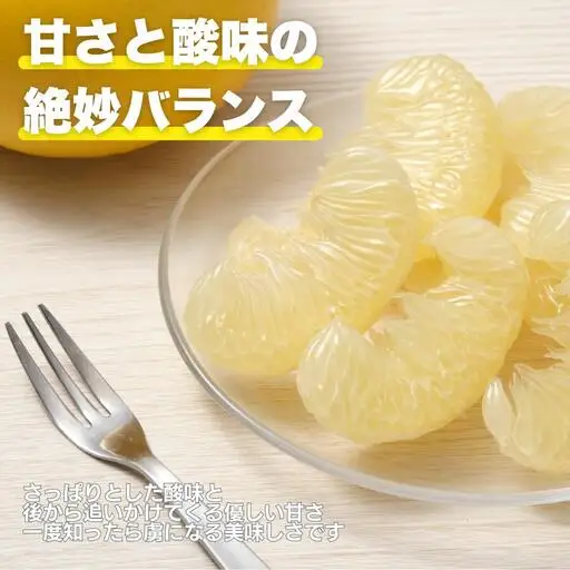 【先行予約】　土佐 文旦 5kg 訳あり 文旦 愛なんよ