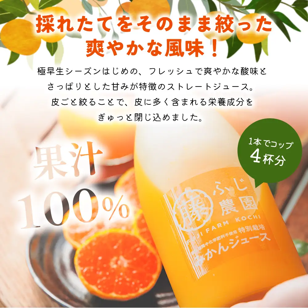 みかん100％ストレートジュース(720ml×6本) みかん fn-0018