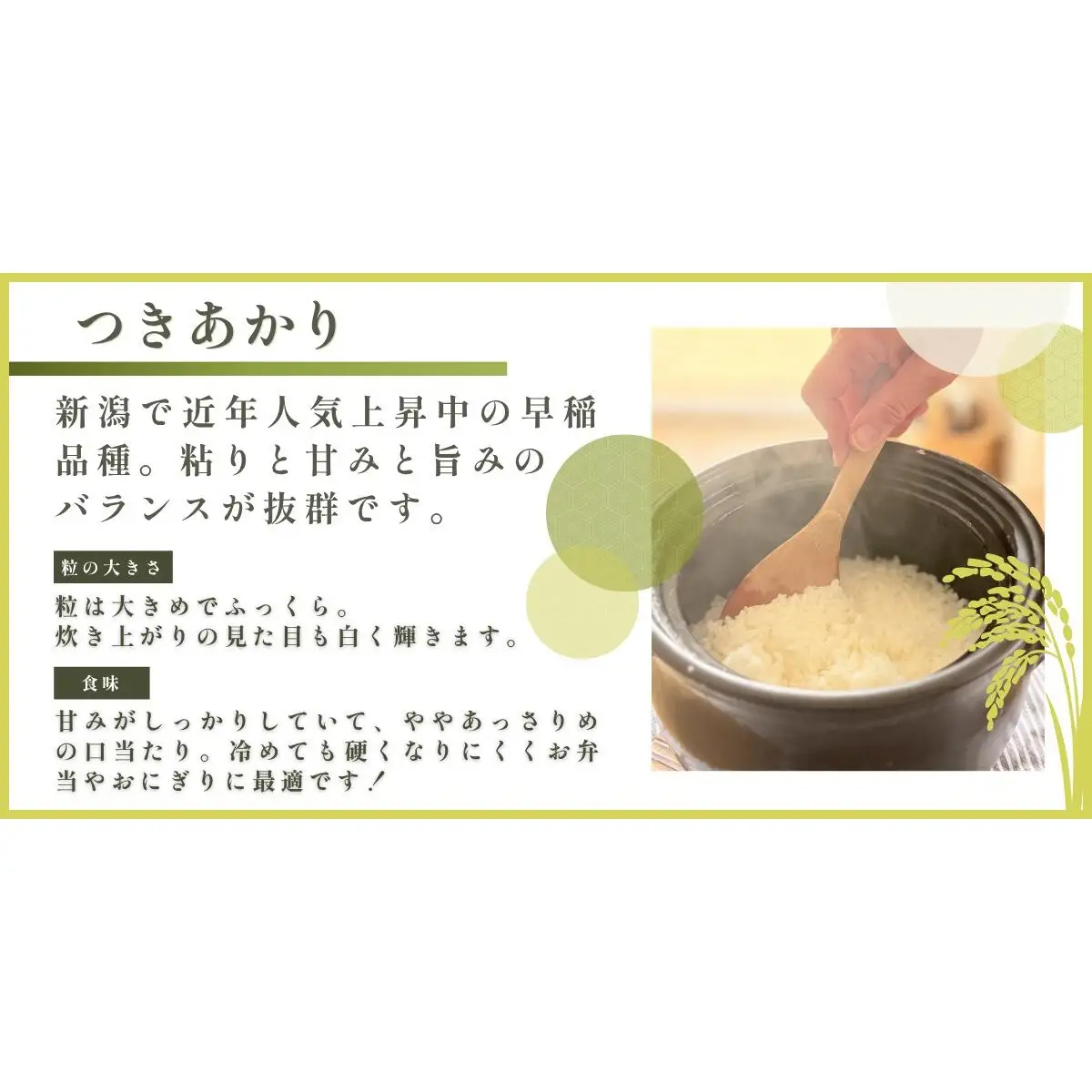 【ファーム喜左ヱ門】令和8年産 つきあかり（玄米)　10kg