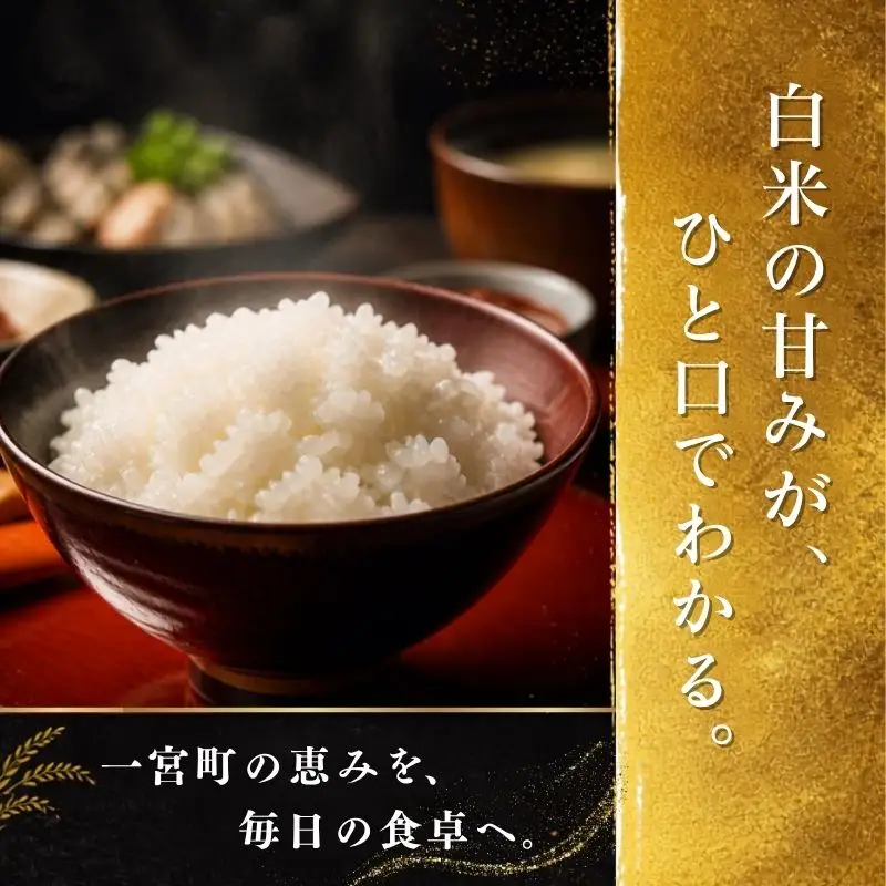 千葉県一宮町産コシヒカリ（白米10kg）令和８年度産米【2026年発送分】