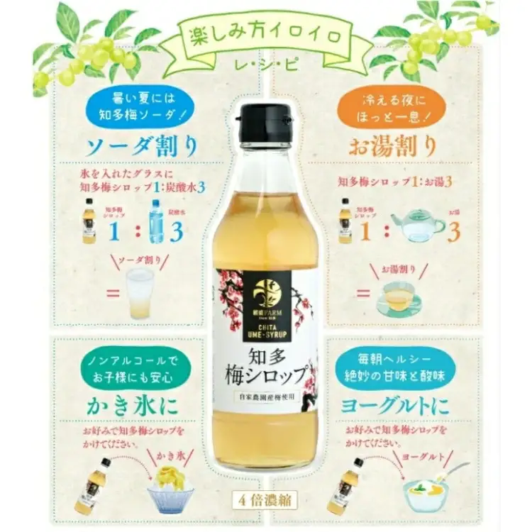 梅シロップ420g×12本
