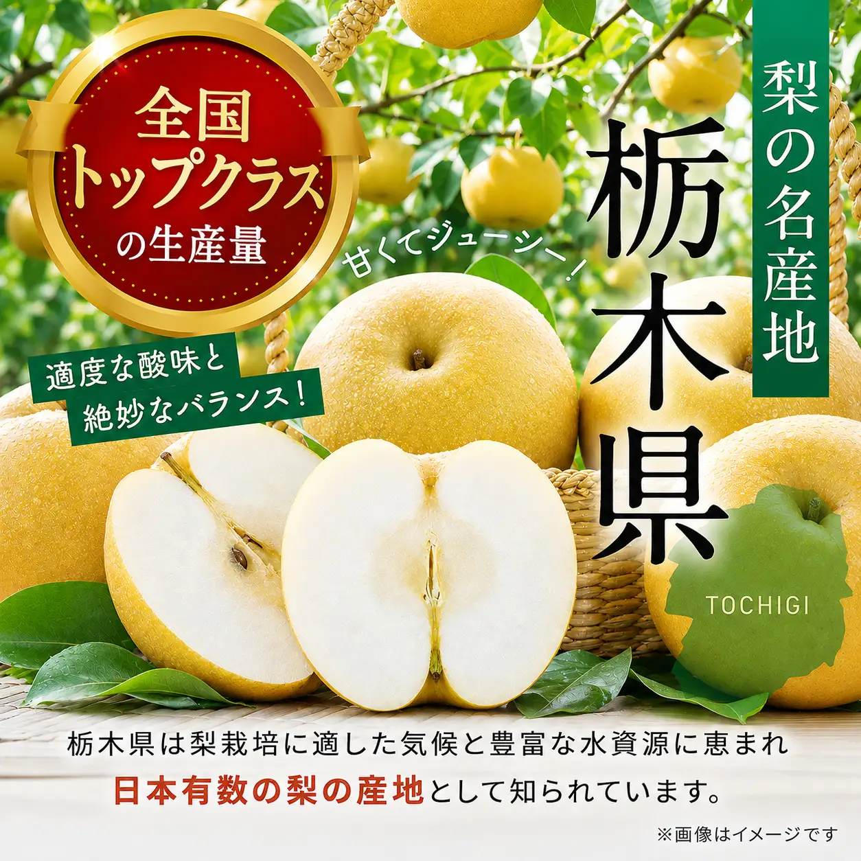 【2026年先行予約】 訳あり! サイズランダム あきづき 約5kg 梨