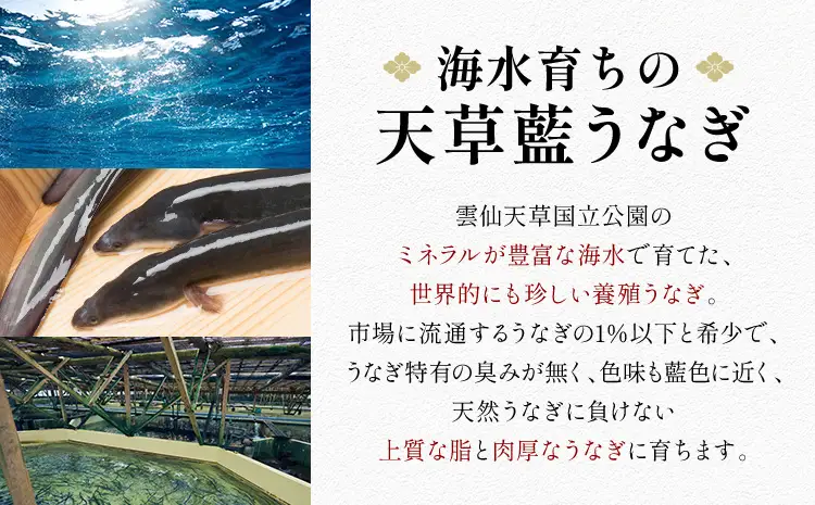 令和8年熊本地震復興支援 【2回定期便】極 季節めぐり定期便① 海鮮 とらふぐ うなぎ 天草海産