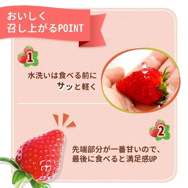 《数量限定》紅白セット（とちあいか・ミルキーベリー） 270g×2パック 540g以上 ｜いちご イチゴ 苺 先行予約 栃木県 果物 くだもの フルーツ デザート とちあいか ミルキーベリー 新鮮 贈答 ギフト 食べ比べ ※2027年1月～発送