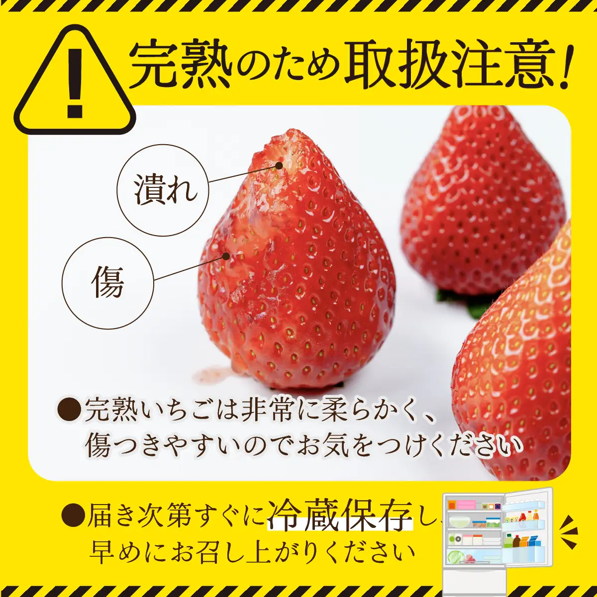 いちご【3月以降発送】朝採れとちあいか レギュラーサイズ 約270g × 4パック 合計 約1080g |イチゴ いちご
